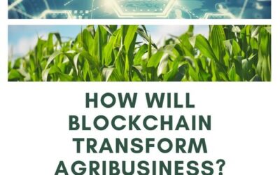 How will blockchain transform agribusiness