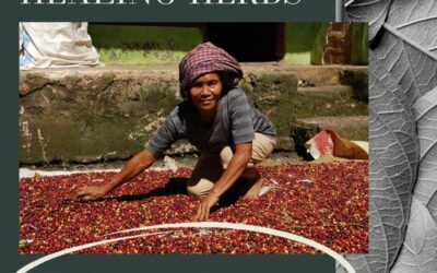 Behind the healing herbs